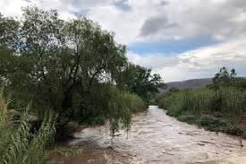 🚨 TRAGEDIA EN SANTA MARÍA DEL RÍO 🚨