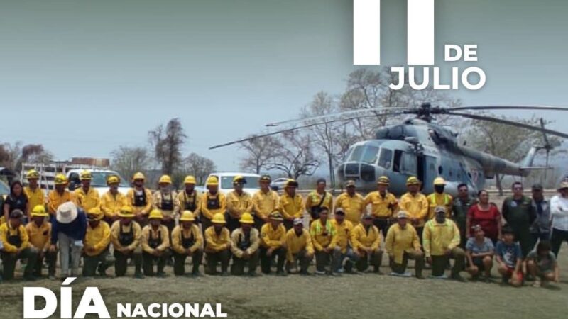 Día del Combatiente Forestal.