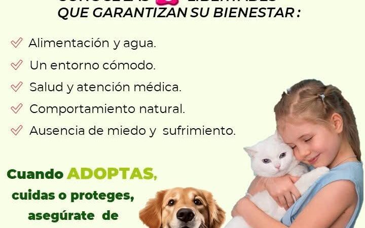 ¡Garantiza el Bienestar Animal: Conoce las 5 Libertades Esenciales!