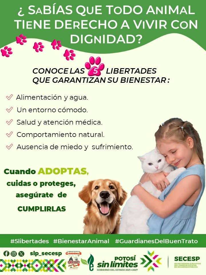 ¡Garantiza el Bienestar Animal: Conoce las 5 Libertades Esenciales!