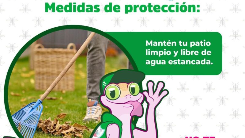 Protégete del Dengue 🦟