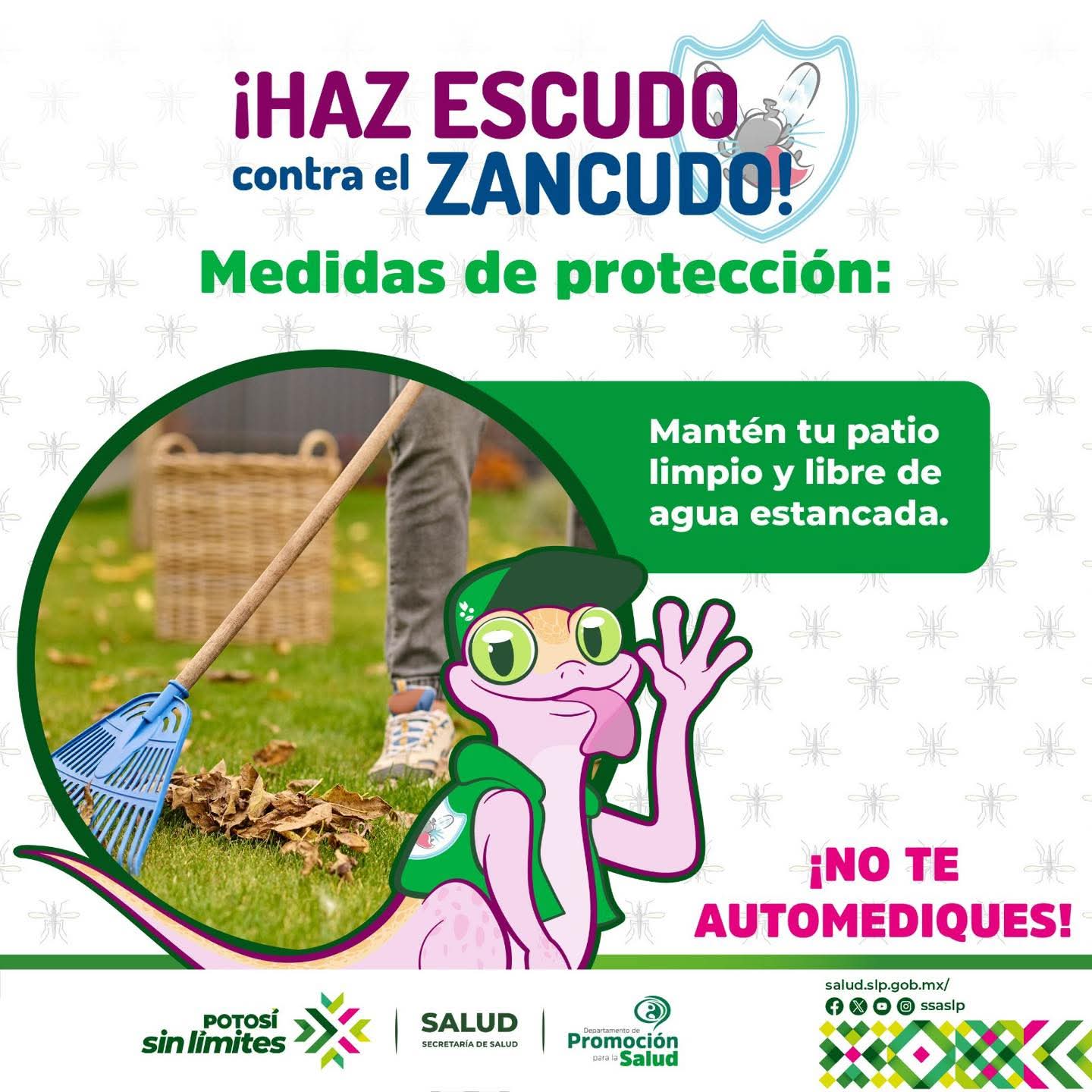 Protégete del Dengue 🦟