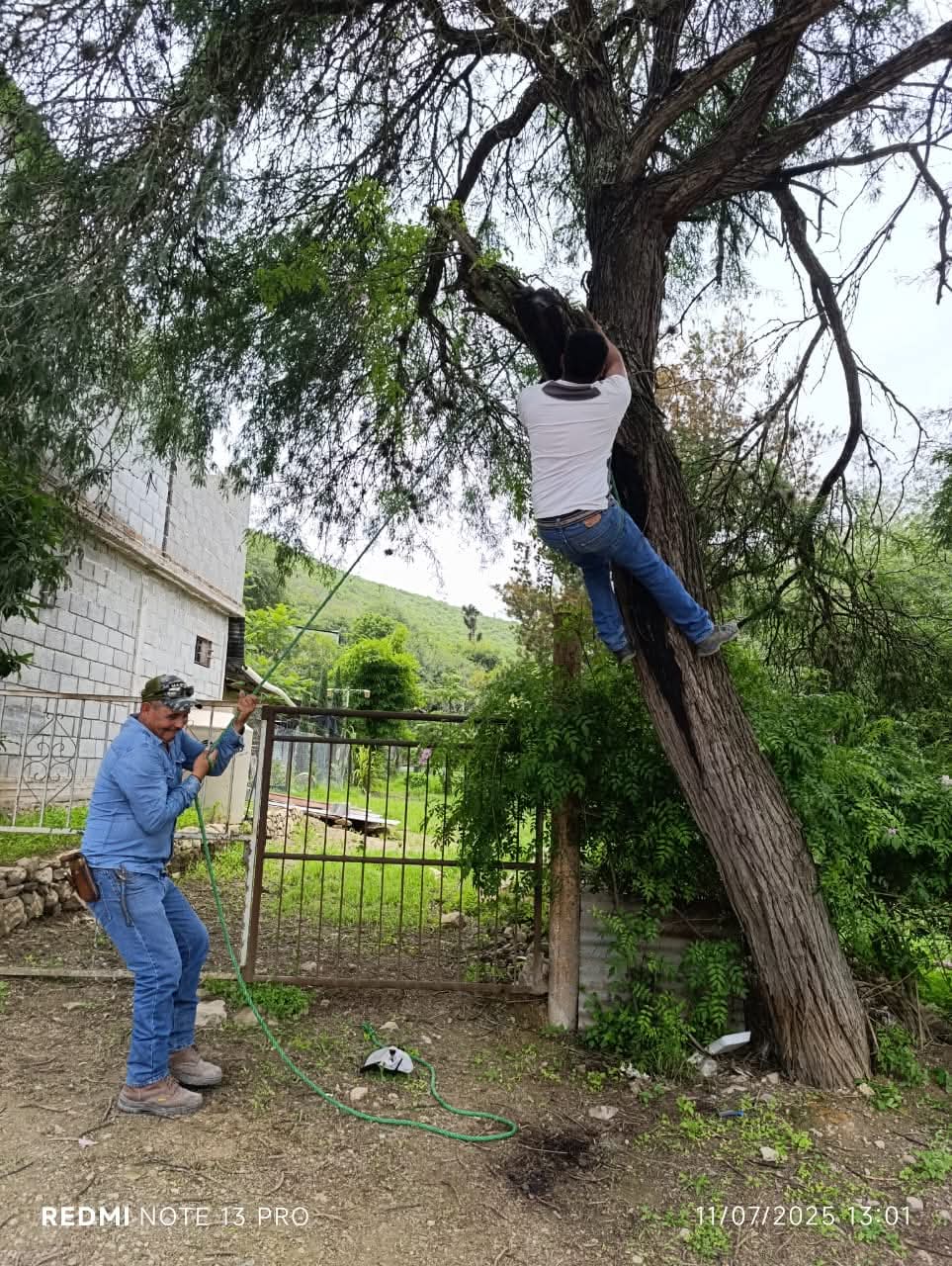 Árbol caído provoca daños en acometida doméstica; se brinda apoyo para su restablecimiento