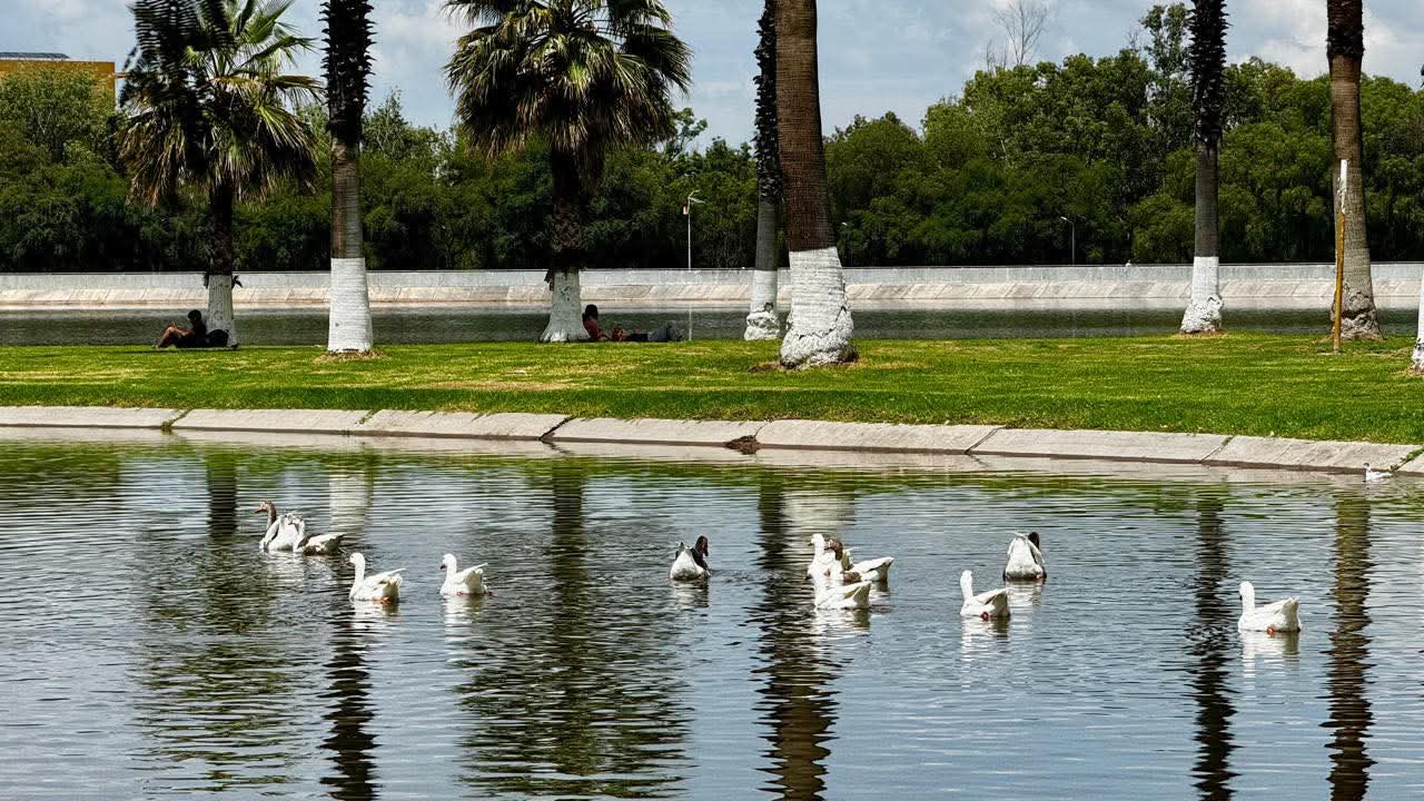 LAGO MAYOR DEL TANGAMANGA ALCANZA SU CAPACIDAD MÁXIMA TRAS INTENSAS LLUVIAS
