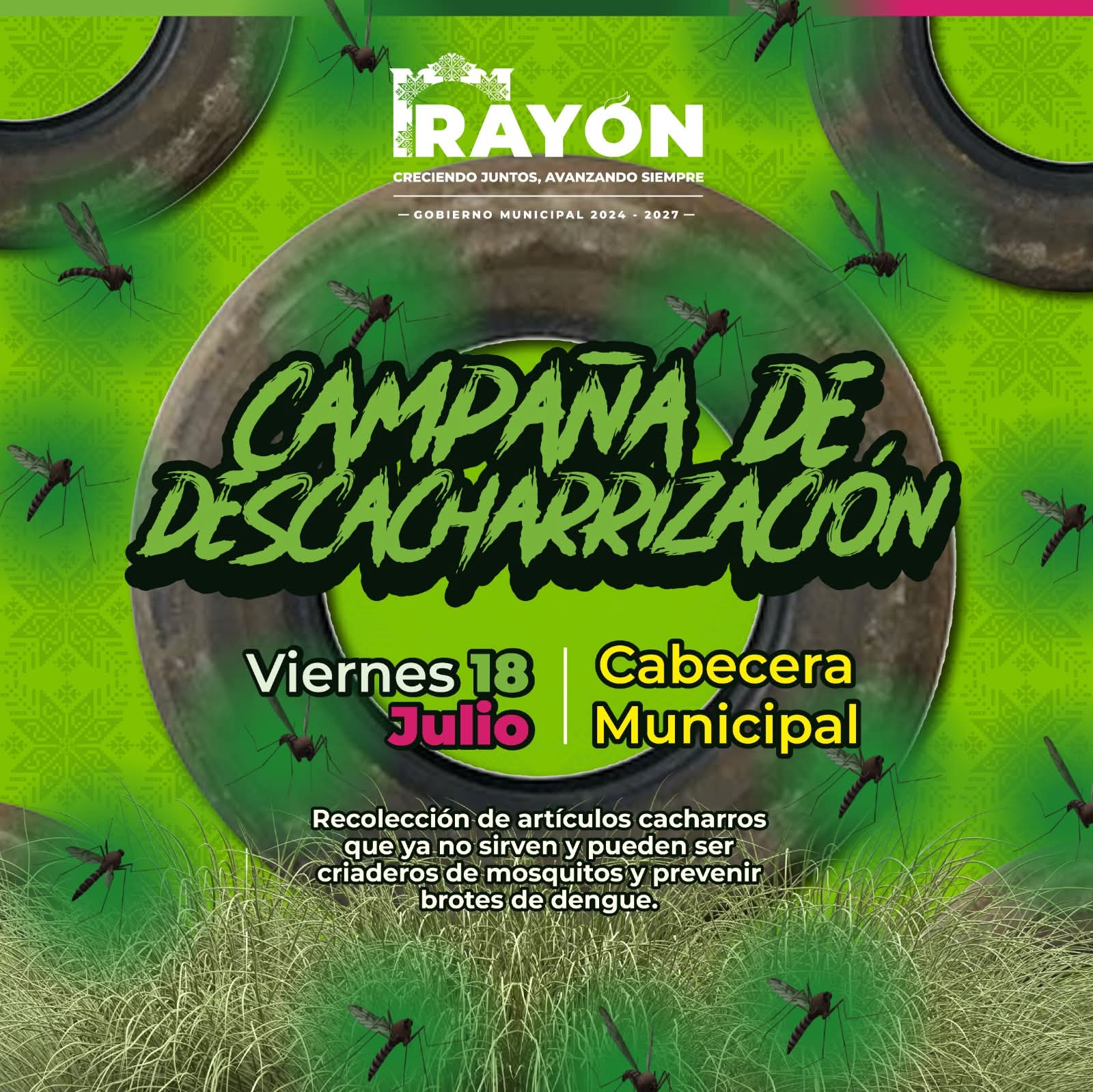 🦟 ¡Rayón combate al dengue!