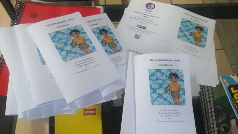 CUENTOS EN LENGUA ÍNDIGENA: UN NUEVO FUTURO EDUCATIVO PARA NIÑAS Y NIÑOS EN SLP