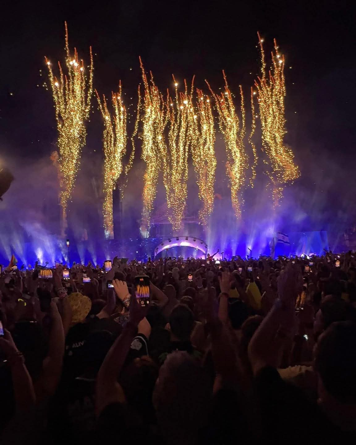 METALLICA SALVO EL TOMORROWLAND