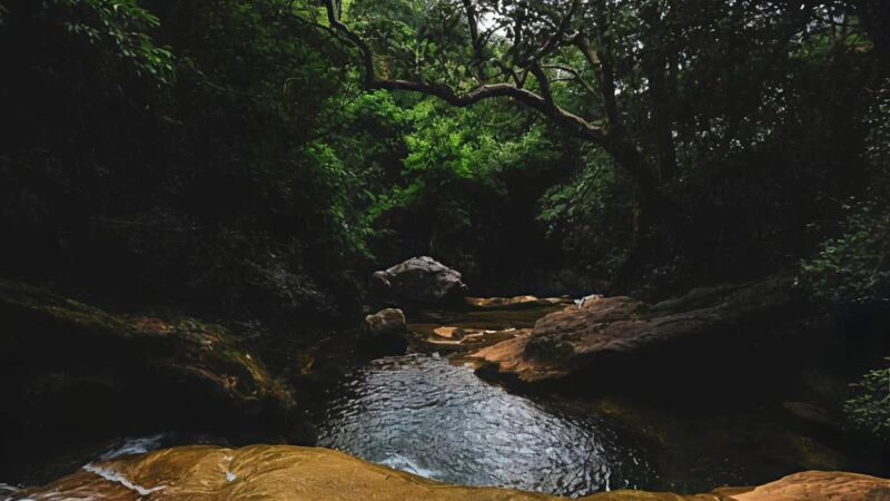¡CAÑÓN DEL CHIVO, EL PARAÍSO ESCONDIDO DE SAN LUIS!