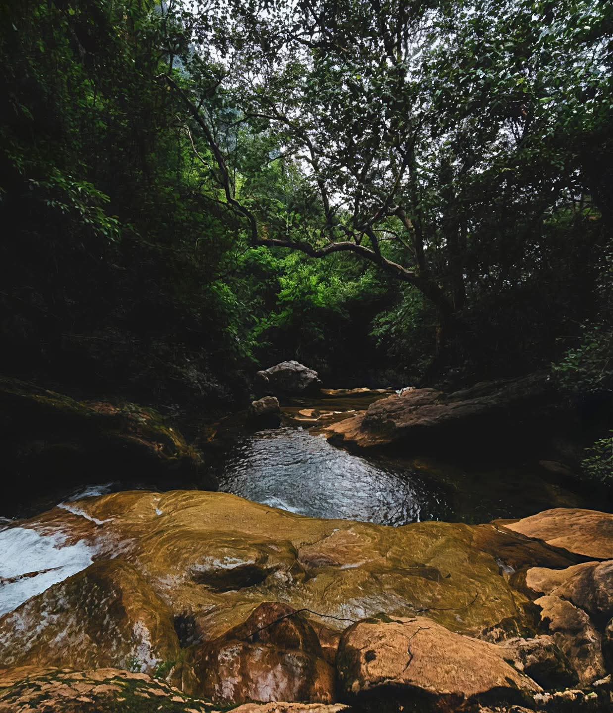¡CAÑÓN DEL CHIVO, EL PARAÍSO ESCONDIDO DE SAN LUIS!