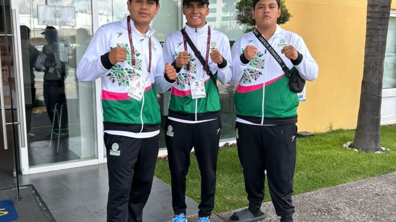 Desde la cuenta oficial de Ricardo Gallardo Cardona