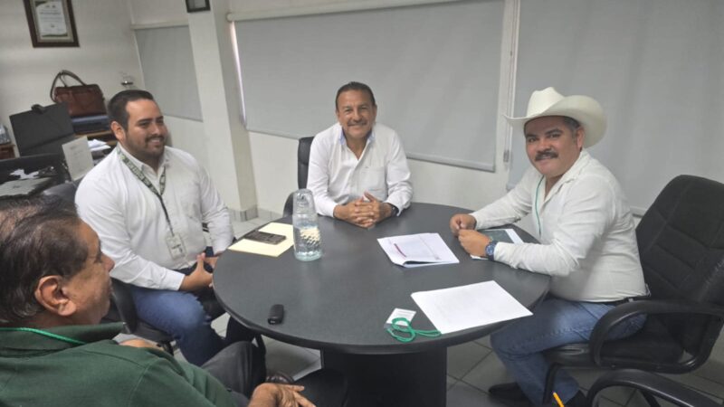 ✅ ¡Buenas noticias para Santa Catarina! 🌟⚡
