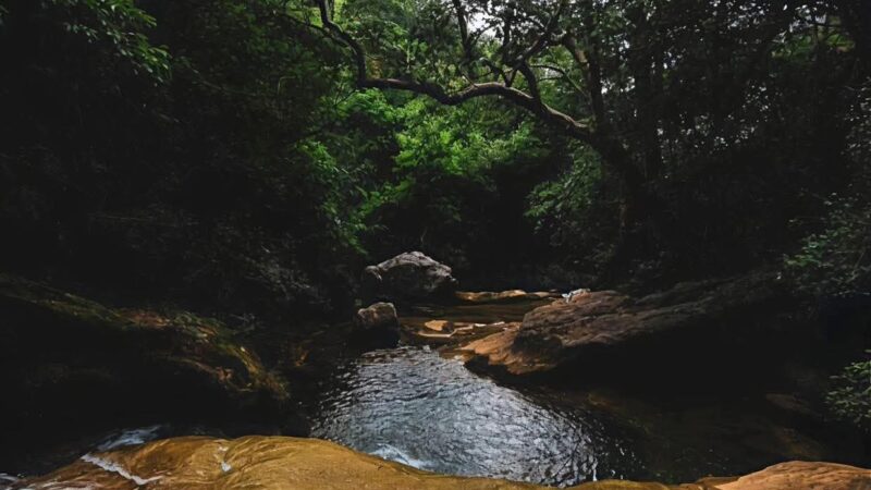 #SLP | 🌄🐐💧 ¡El Cañón del Chivo te espera!