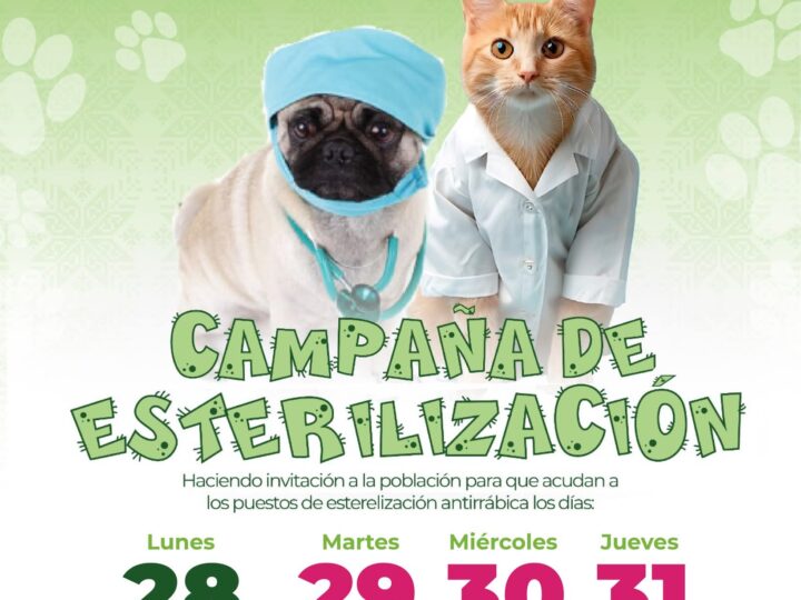 🐶🐱 ¡Esterilizaciones Gratuitas en tu Comunidad!