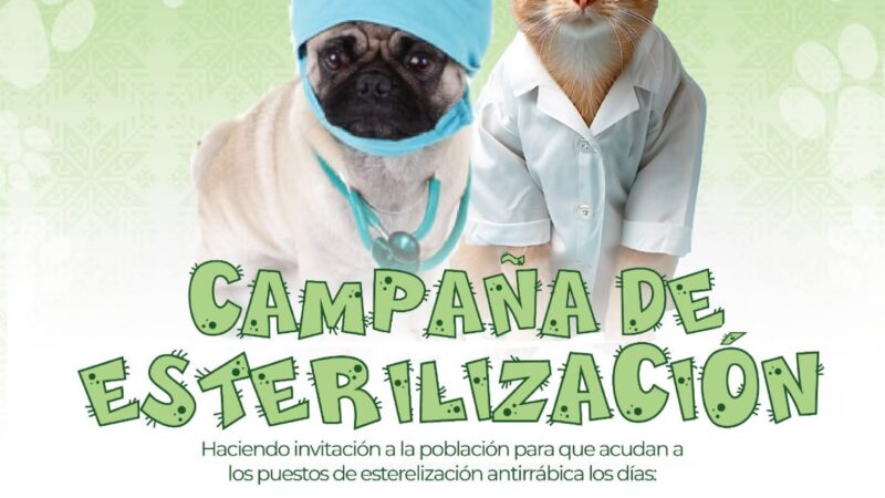 🐶🐱 ¡Esterilizaciones Gratuitas en tu Comunidad!