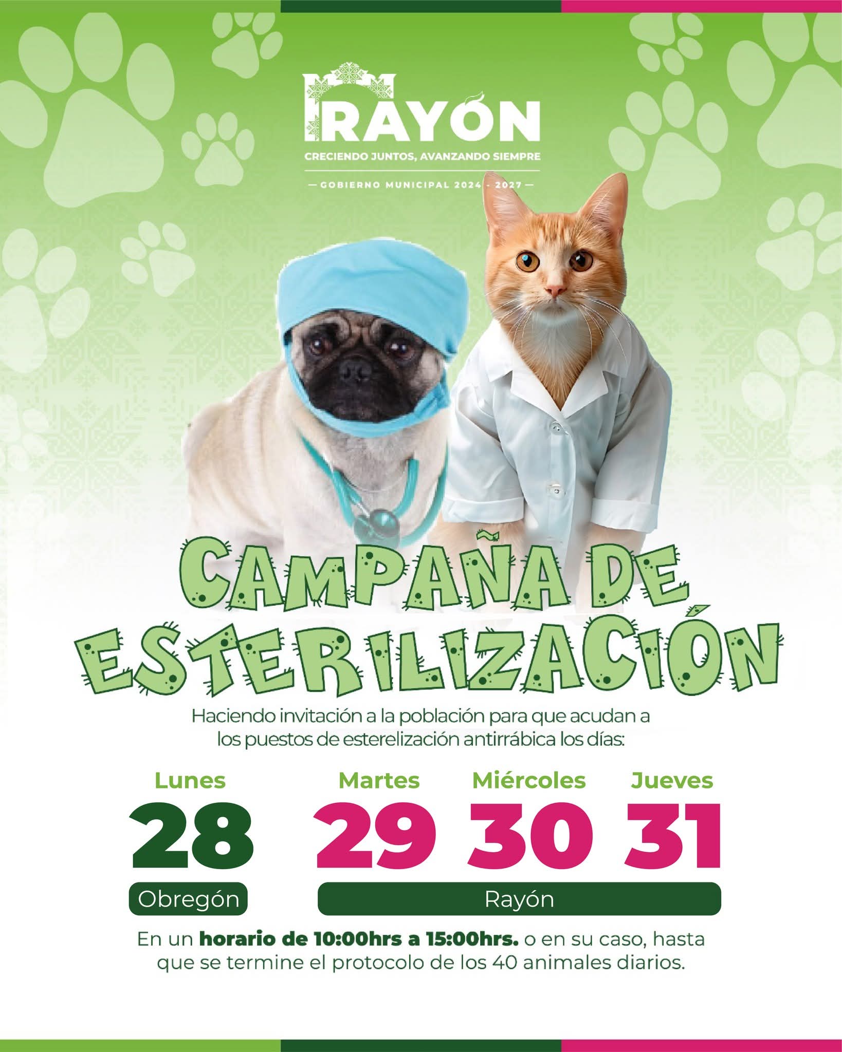 🐶🐱 ¡Esterilizaciones Gratuitas en tu Comunidad!
