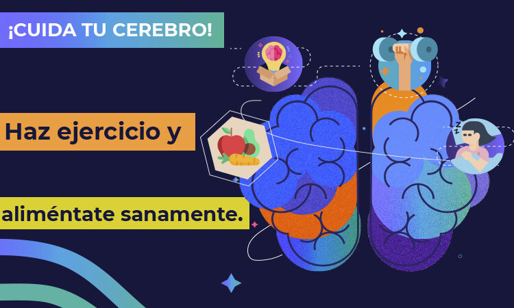 El cerebro o “materia gris”, como se le conoce comúnmente, es uno de los órganos vitales de nuestro cuerpo.