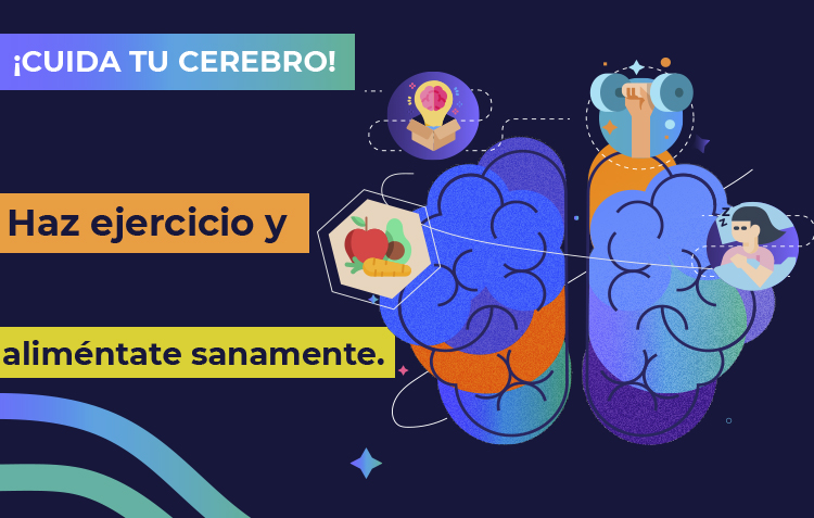 El cerebro o “materia gris”, como se le conoce comúnmente, es uno de los órganos vitales de nuestro cuerpo.