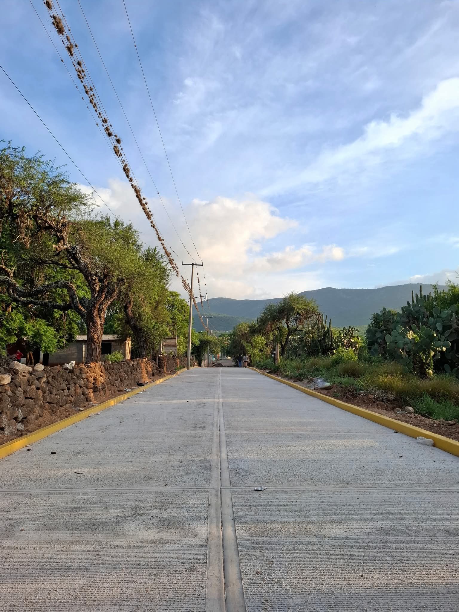 YA SE VEN LOS RESULTADOS EN LOBOS, CARDENAS S.L.P.