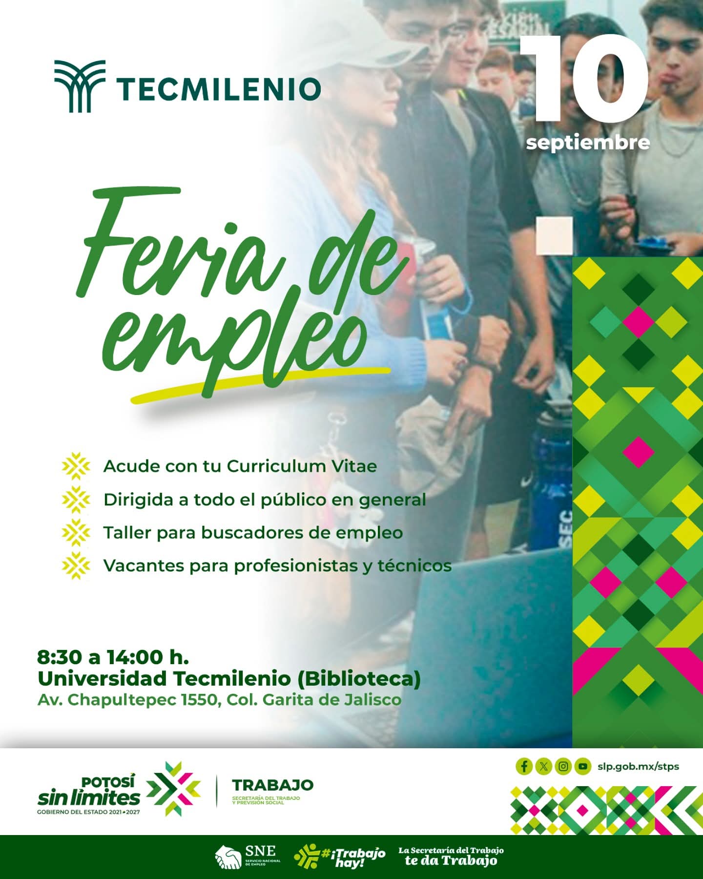¡Atención Profesionistas y Técnicos!
