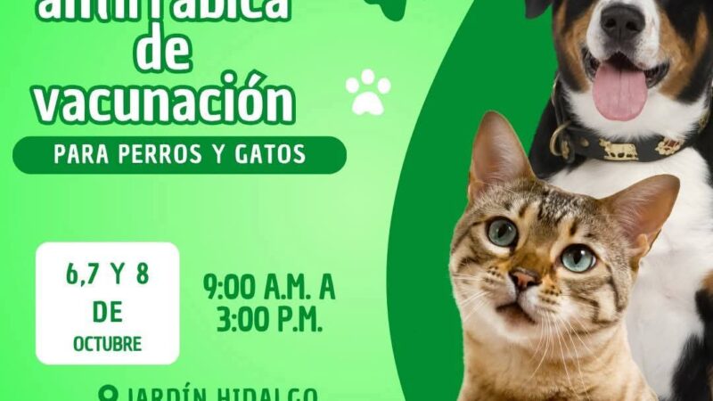 📰¡Protege a tu Mascota! Continúa la Jornada de Vacunación Antirrábica en el Jardín Hidalgo 🐶🐱