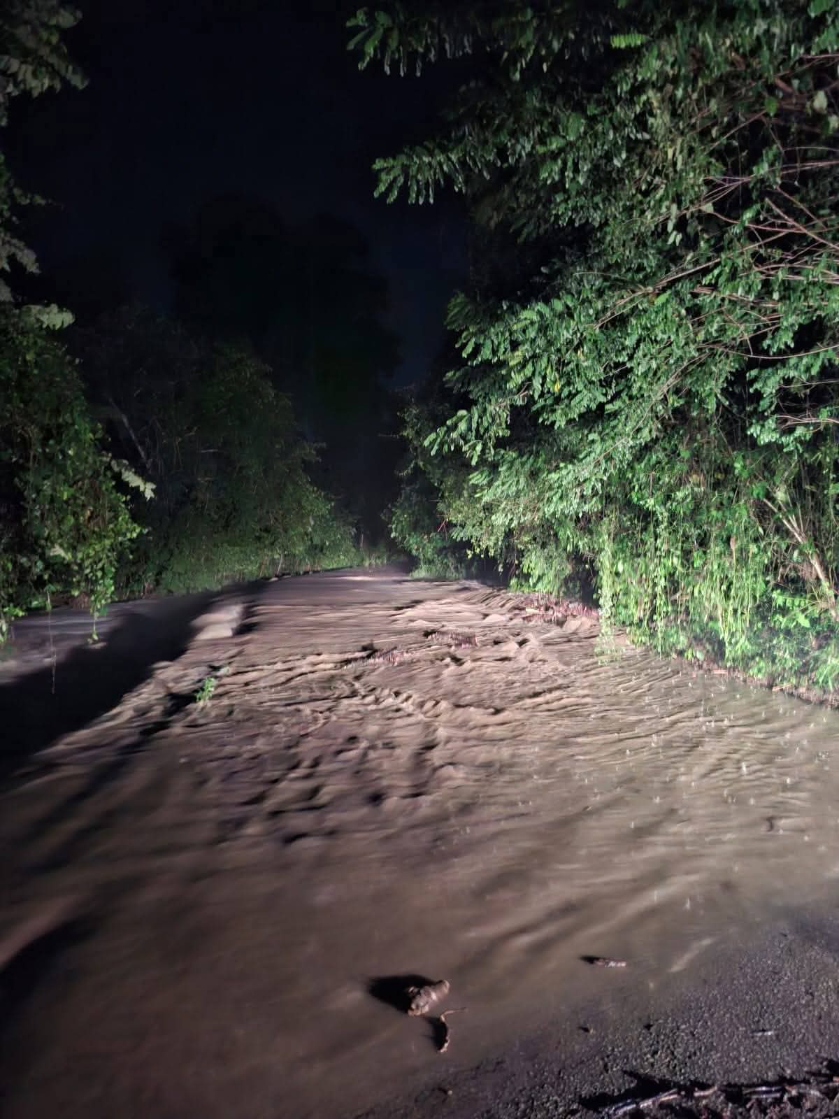 🚨 Tampacán en Alerta por Creciente de Arroyos: Exhortan a la Población a Extremar Precauciones por Lluvias