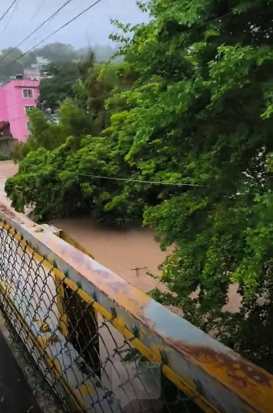 🚨 ALERTA MÁXIMA EN TAMAZUNCHALE: Río Moctezuma Alcanza Nivel Crítico 🚨