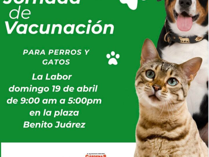 🐾 ¡Protege a tu mejor amigo! Jornada de Vacunación en Cárdenas