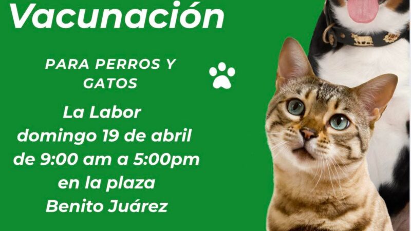 🐾 ¡Protege a tu mejor amigo! Jornada de Vacunación en Cárdenas