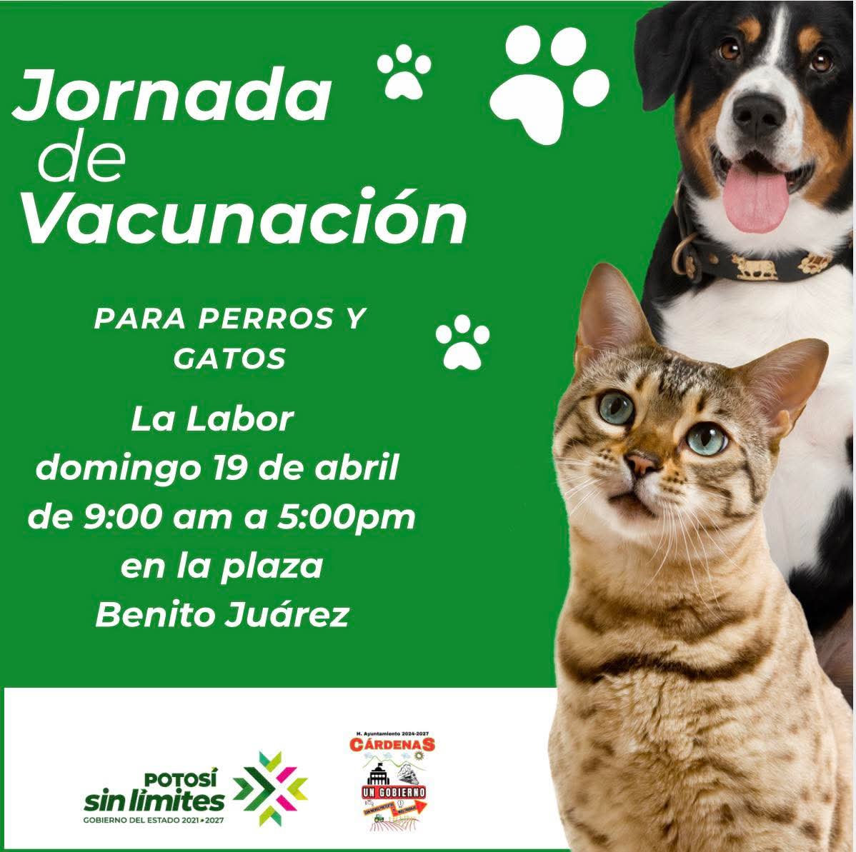 🐾 ¡Protege a tu mejor amigo! Jornada de Vacunación en Cárdenas