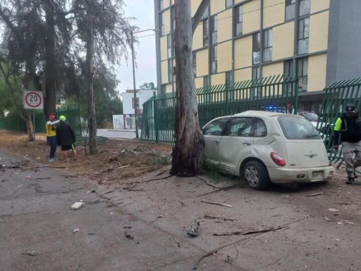 🛑 NOTICIA DE ÚLTIMA HORA: Seguridad Vial en SLP