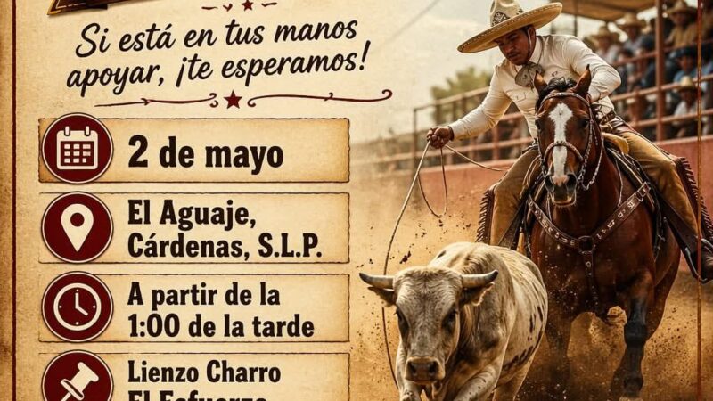 💥🤠 Servicio Social 🚨🚨🚨🚨