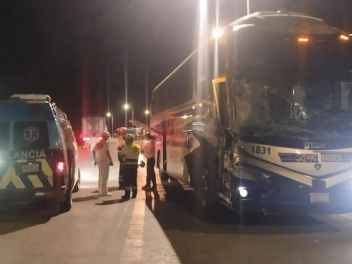 Accidente en la Valles–Rioverde: Choque de autobús deja una persona lesionada