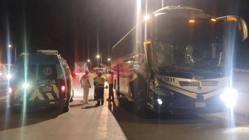 Accidente en la Valles–Rioverde: Choque de autobús deja una persona lesionada
