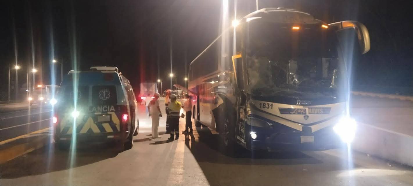 Accidente en la Valles–Rioverde: Choque de autobús deja una persona lesionada