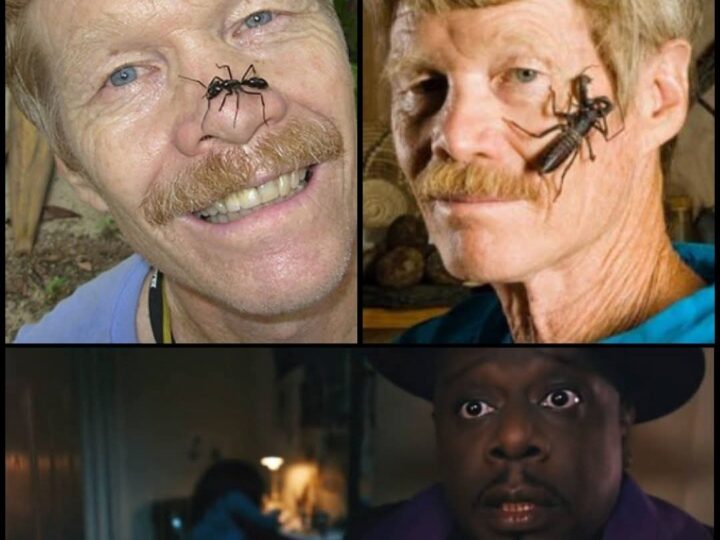 El hombre que probó el dolor: La odisea de Justin Schmidt y su escala del sufrimiento