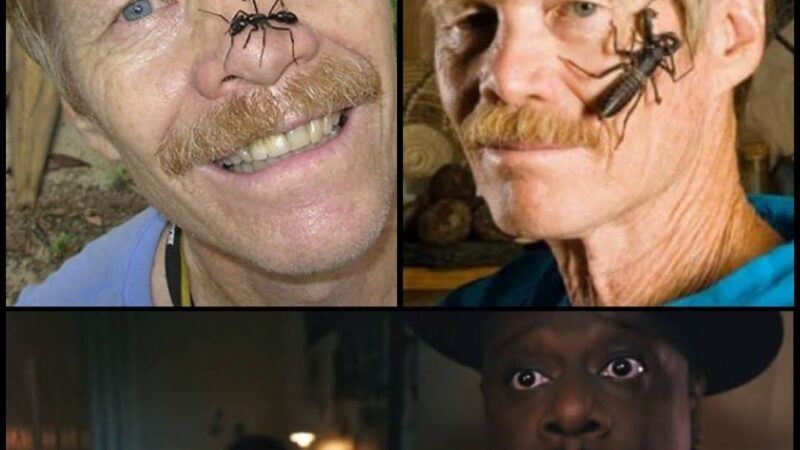 El hombre que probó el dolor: La odisea de Justin Schmidt y su escala del sufrimiento