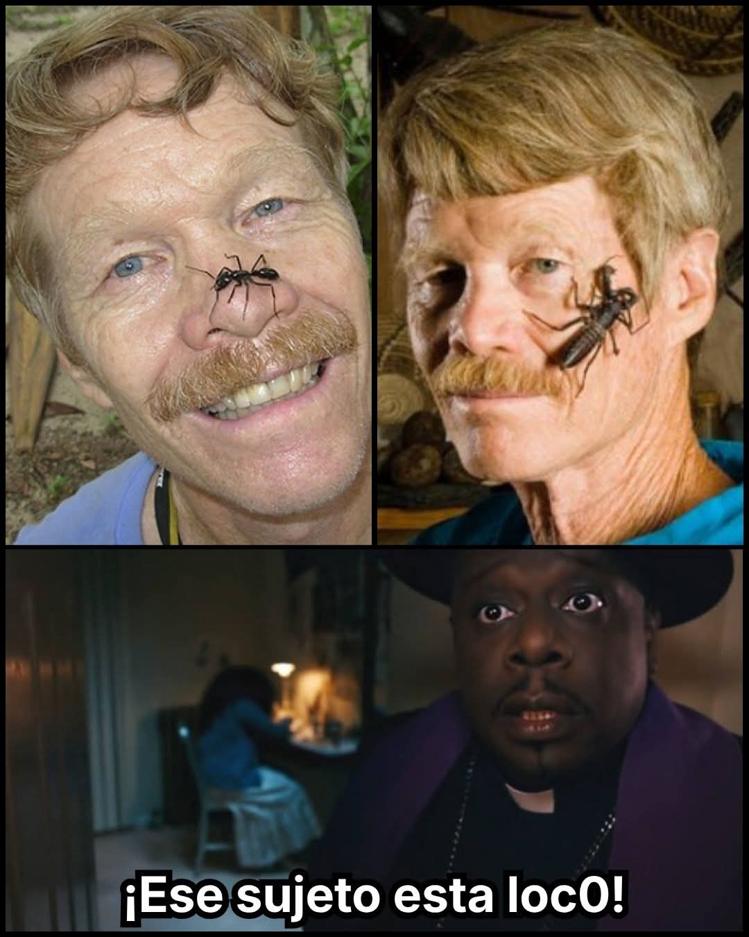 El hombre que probó el dolor: La odisea de Justin Schmidt y su escala del sufrimiento