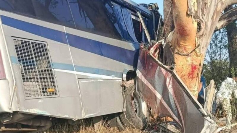 Tragedia en Querétaro: Nueve fallecidos y decenas de heridos tras fuerte accidente en la San Juan del Río–Amealco.