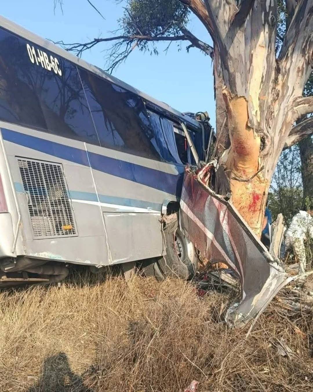 Tragedia en Querétaro: Nueve fallecidos y decenas de heridos tras fuerte accidente en la San Juan del Río–Amealco.