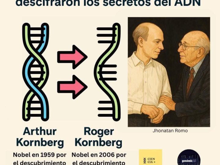 Los Kornberg: padre e hijo que descifraron los secretos del ADN