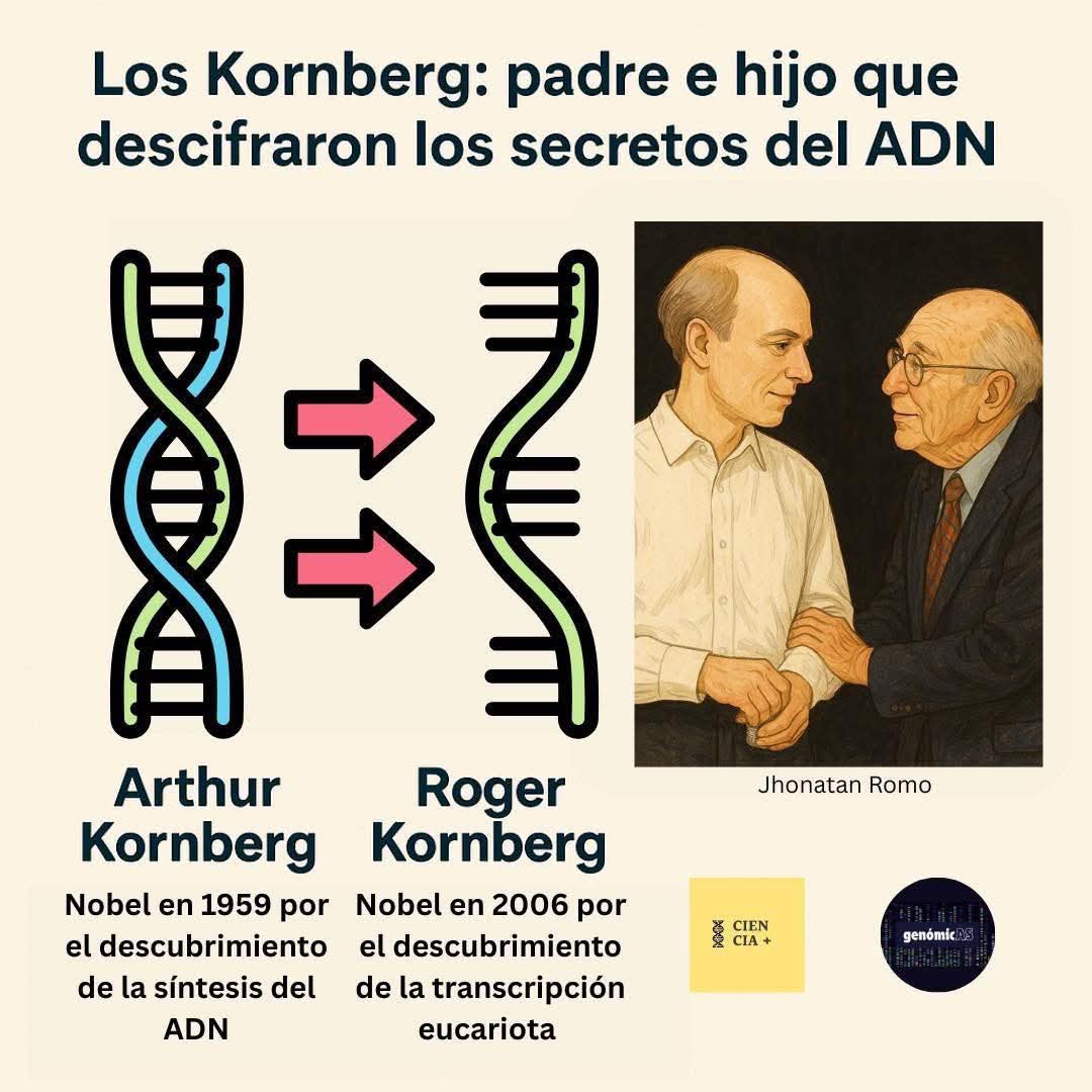 Los Kornberg: padre e hijo que descifraron los secretos del ADN