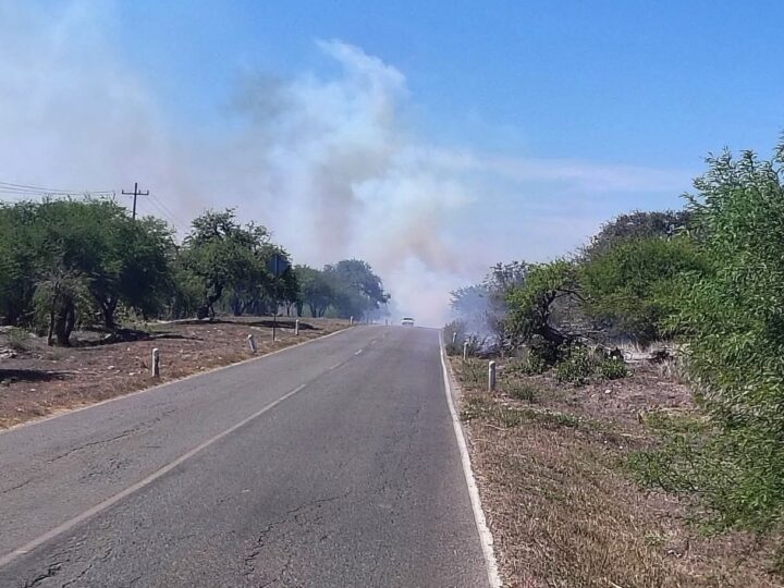 ALERTA CIUDADANA: Incendio Activo en las Inmediaciones de Martínez, Alaquines