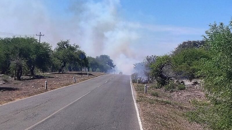 ALERTA CIUDADANA: Incendio Activo en las Inmediaciones de Martínez, Alaquines