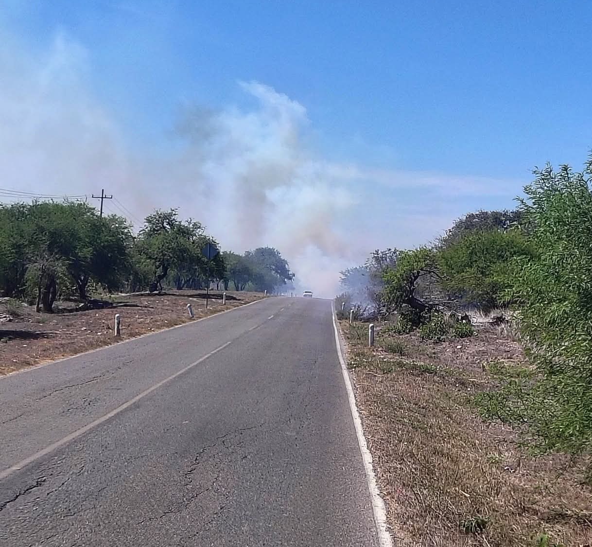 ALERTA CIUDADANA: Incendio Activo en las Inmediaciones de Martínez, Alaquines