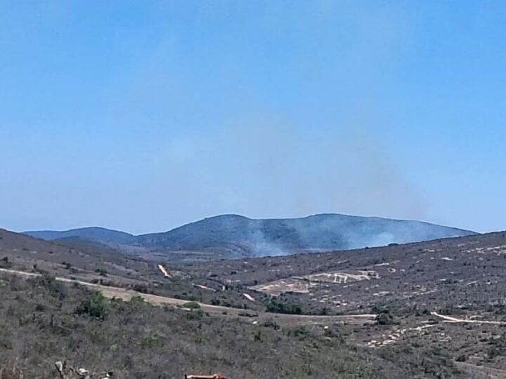 🚨 ¡ALERTA DE ÚLTIMO MOMENTO EN CÁRDENAS! 🚨